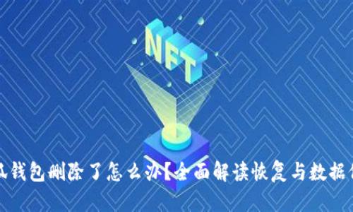 小狐钱包删除了怎么办？全面解读恢复与数据保护