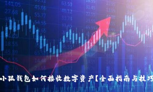 小狐钱包如何接收数字资产？全面指南与技巧