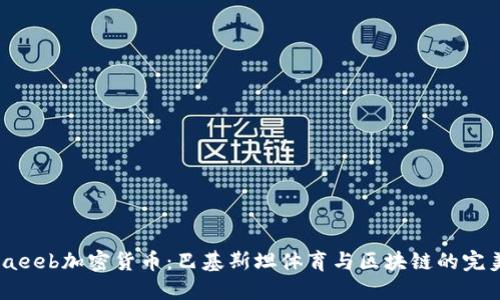 探索Laeeb加密货币：巴基斯坦体育与区块链的完美结合