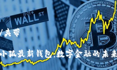 夹带/夹带

探索小狐最新钱包：数字金融的未来之路