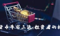揭示加密货币牛市三浪：