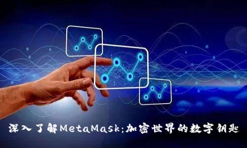 深入了解MetaMask：加密世界的数字钥匙