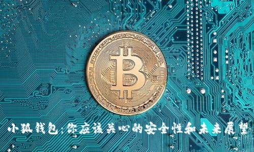 小狐钱包：你应该关心的安全性和未来展望