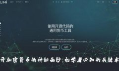 揭开加密货币的神秘面纱