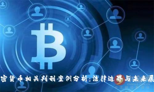 加密货币相关判刑案例分析：法律边界与未来展望
