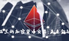 探索新西兰的加密货币交