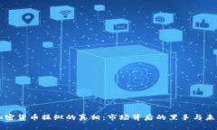 揭开加密货币操纵的真相