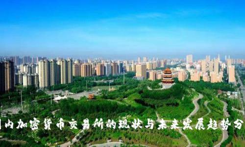 国内加密货币交易所的现状与未来发展趋势分析