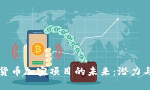 韩国货币加密项目的未来：潜力与挑战