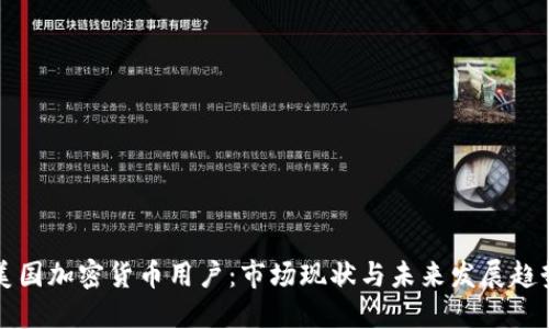 美国加密货币用户：市场现状与未来发展趋势