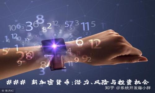 ### 新加密货币：潜力、风险与投资机会