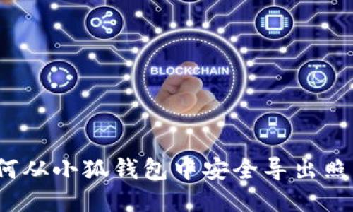 如何从小狐钱包中安全导出照片？