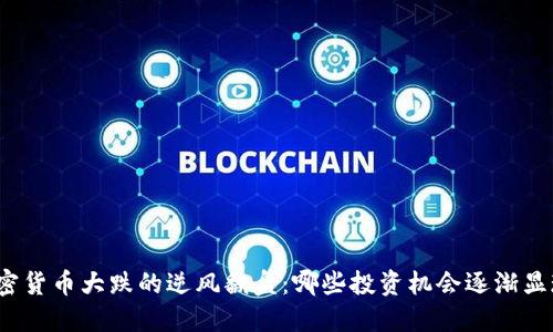 加密货币大跌的逆风翻盘：哪些投资机会逐渐显现？