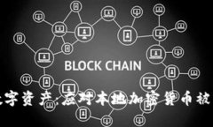 如何保护你的数字资产：应对本地加密货币被盗