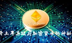  揭开土耳其政府加密货币