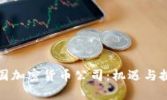 解密中国加密货币公司：