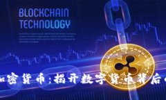 区块链与加密货币：揭开