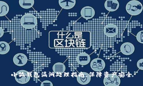 小狐钱包漏洞处理指南，保障资产安全