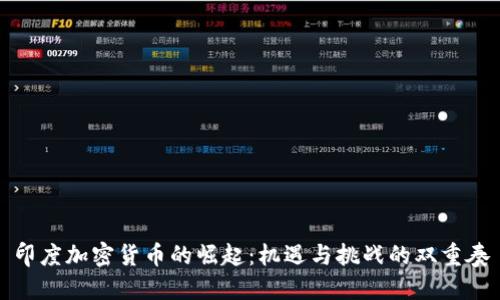 印度加密货币的崛起:机遇与挑战的双重奏