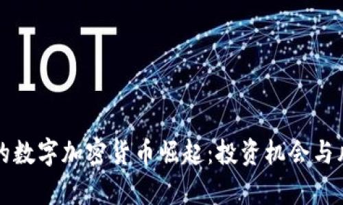 乌克兰的数字加密货币崛起：投资机会与风险并存