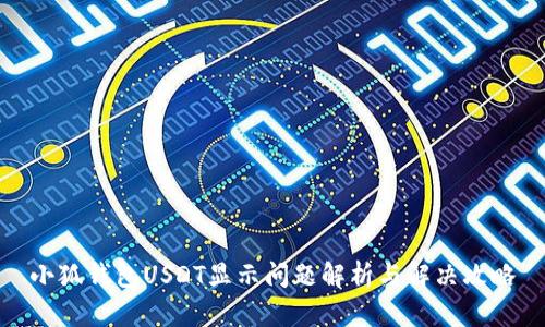 小狐钱包USDT显示问题解析与解决攻略
