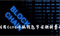 如何高效利用Core小狐钱包