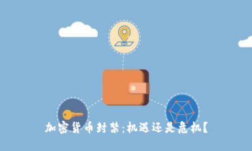 加密货币封禁：机遇还是危机？