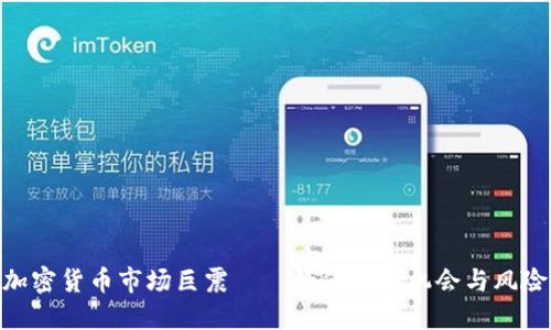 加密货币市场巨震——如何把握机会与风险