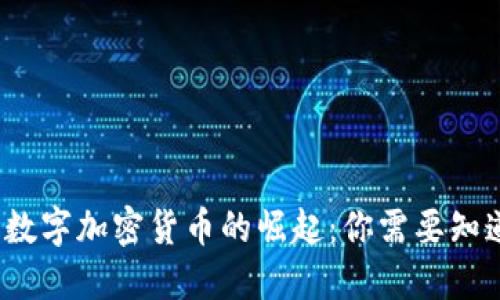 2021年数字加密货币的崛起：你需要知道的一切