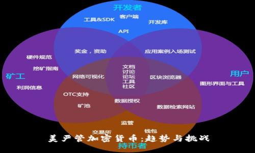 美严管加密货币：趋势与挑战
