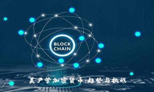 美严管加密货币：趋势与挑战
