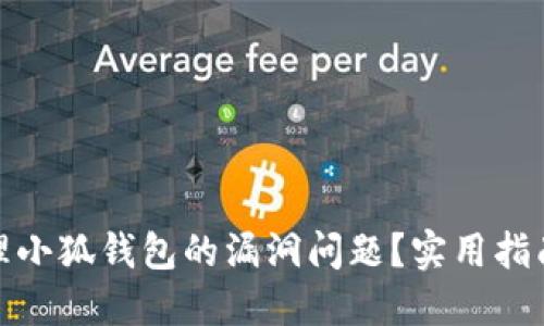 如何处理小狐钱包的漏洞问题？实用指南与建议