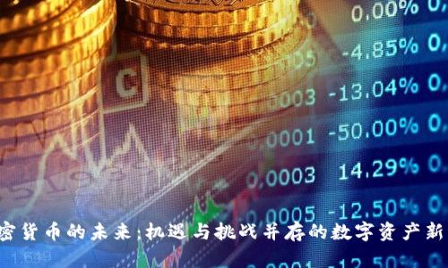  加密货币的未来：机遇与挑战并存的数字资产新纪元