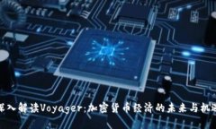 深入解读Voyager：加密货币
