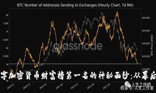 揭开数字加密货币财富榜第一名的神秘面纱：从幕后到光环
