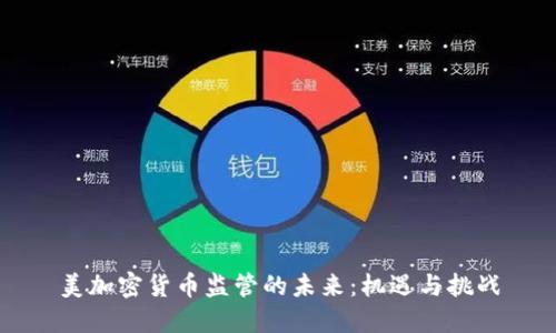 美加密货币监管的未来：机遇与挑战