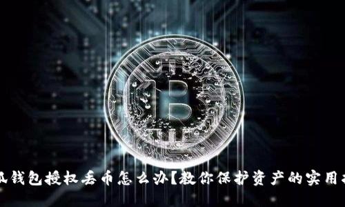 小狐钱包授权丢币怎么办？教你保护资产的实用指南