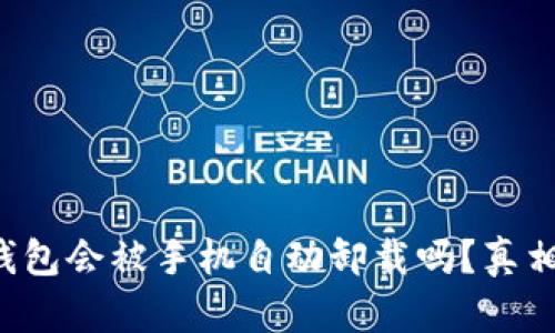 小狐钱包会被手机自动卸载吗？真相揭秘！