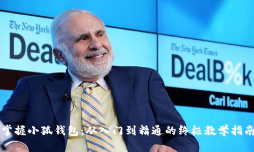 掌握小狐钱包：从入门到精通的终极教学指南