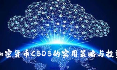 掌握加密货币CBDB的实用策略与投资机会