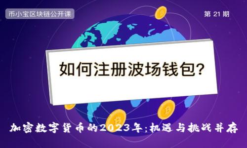 加密数字货币的2023年：机遇与挑战并存