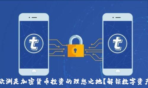   
为什么欧洲是加密货币投资的理想之地？解锁数字资产的未来