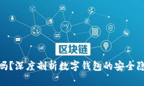 小狐钱包安全吗？深度剖析数字钱包的安全隐患与保护措施