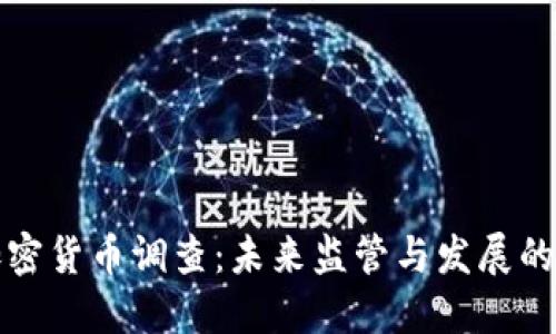 土耳其加密货币调查：未来监管与发展的双重思考