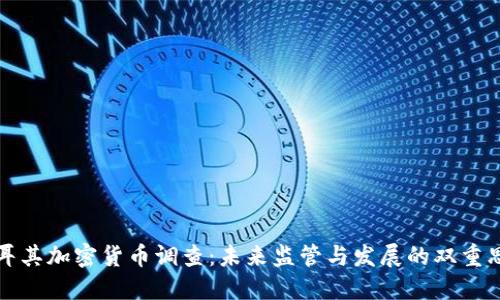 土耳其加密货币调查：未来监管与发展的双重思考