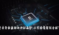 揭开加密货币价格波动的