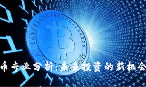 加密货币专业分析：未来投资的新机会与风险