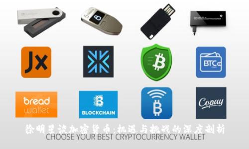 徐明星谈加密货币：机遇与挑战的深度剖析