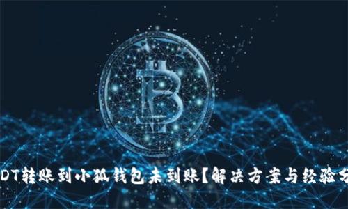 USDT转账到小狐钱包未到账？解决方案与经验分享