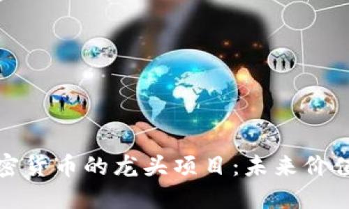 深入探讨加密货币的龙头项目：未来价值与投资机会